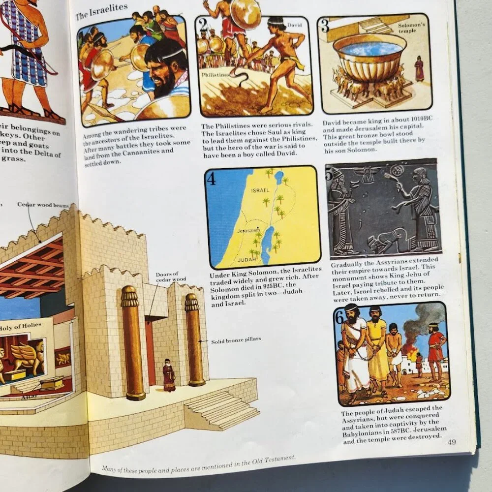 The Usborne Book of World History Hardcover Book Textbook Homeschooling Curricul